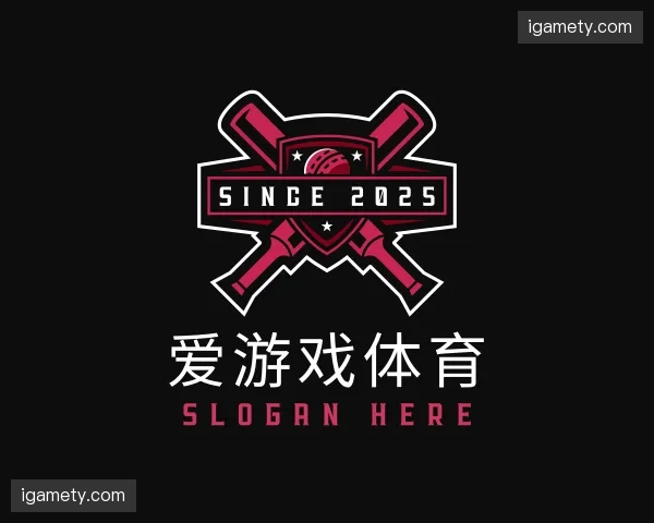 关于爱游戏体育官网